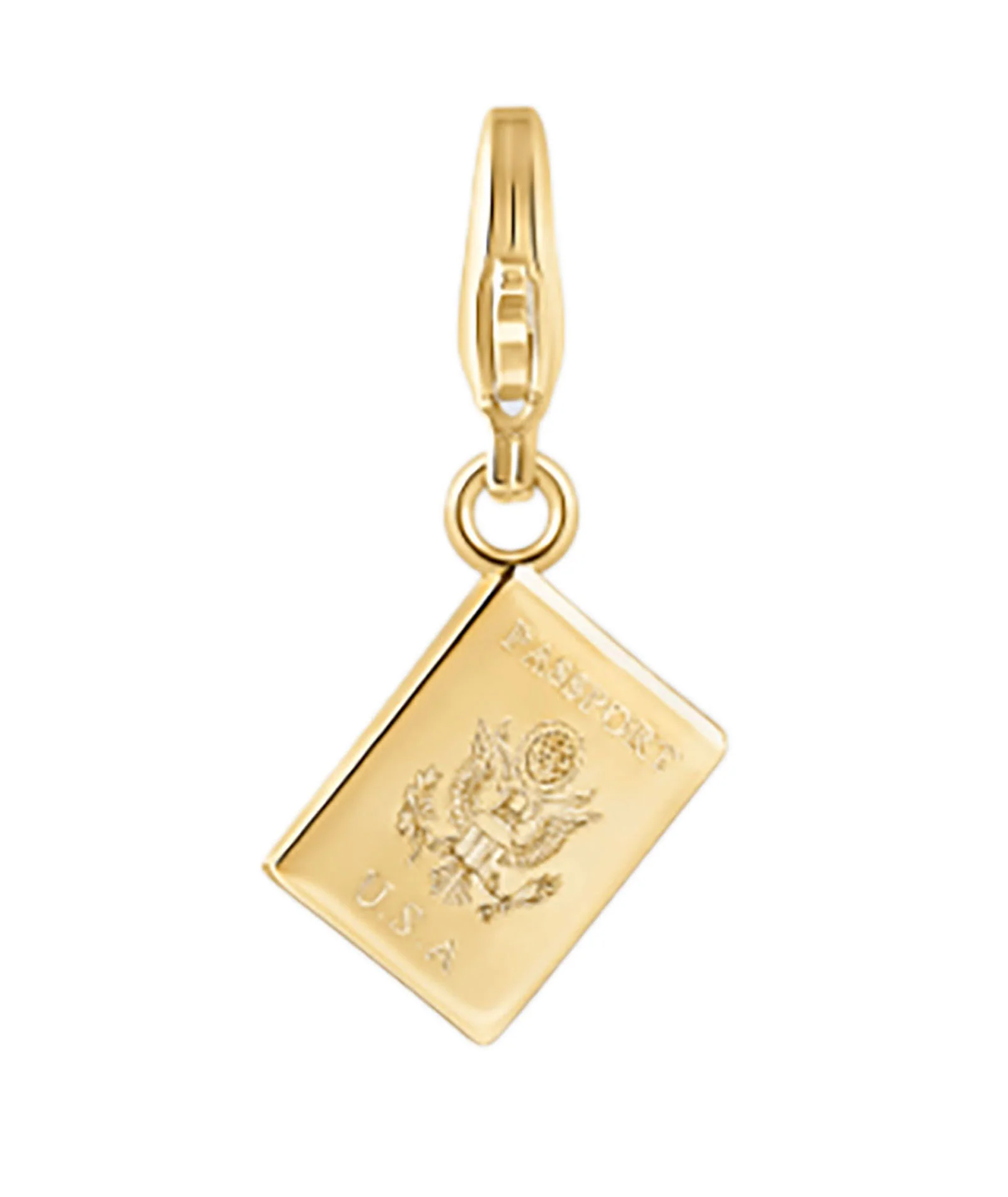 Electric Picks Charm Passport